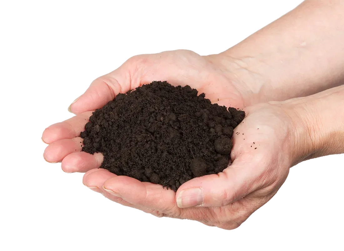 Two cupped hands holding a mound of finished Urvaram vermicompost