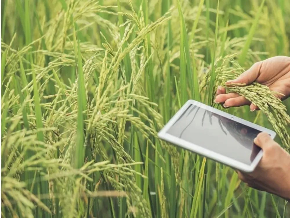 A hand holding a tablet in a field, reviewing production guidance